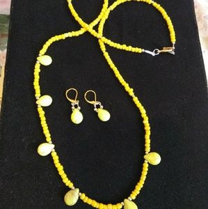 Painted Turquoise necklace band earring set